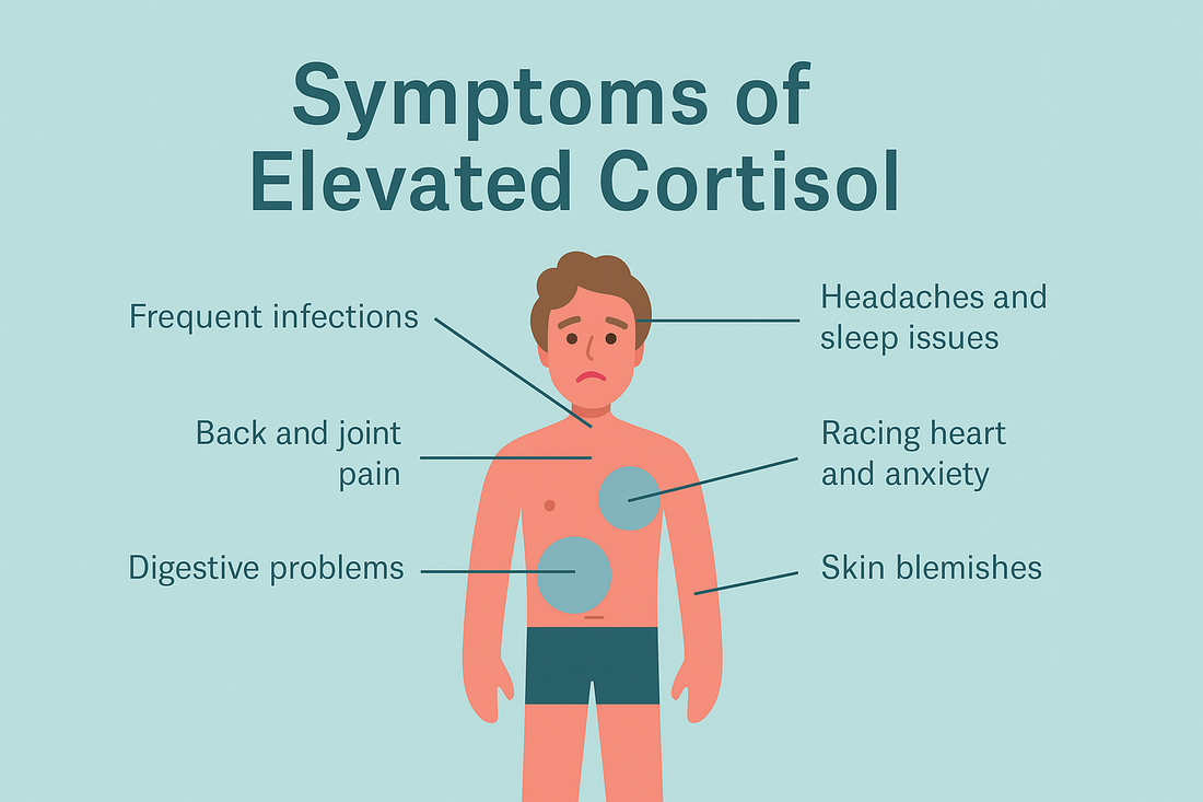 Cortisol: The Hidden Hormone Sabotaging His Health