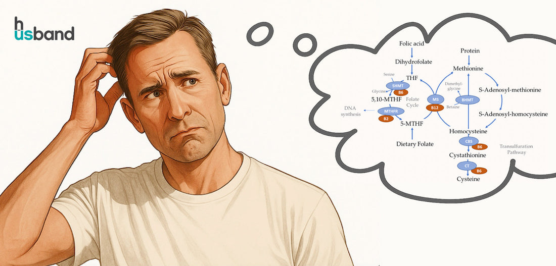 Methylation: The Health Switch You Can’t Afford to Ignore